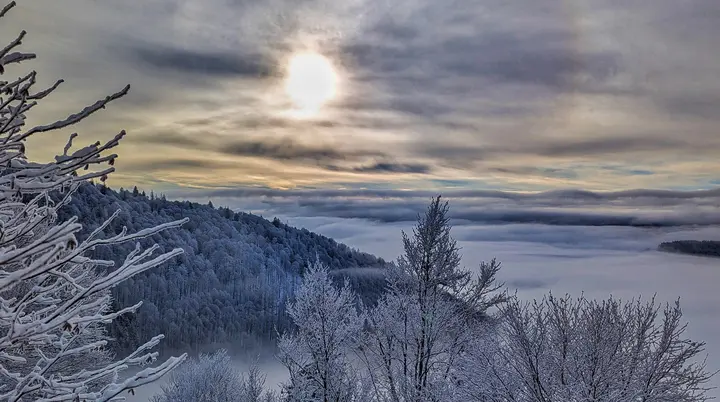 © Foto: Anna-Lena Kuppke