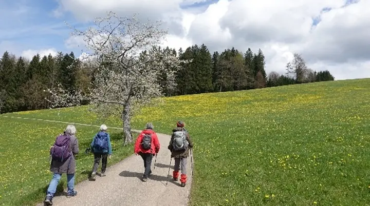© Foto: Helmut Gnädig