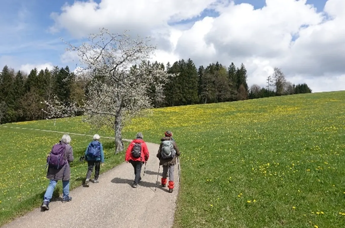 © Foto: Helmut Gnädig