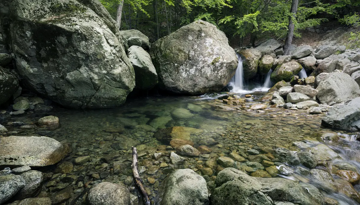 Foto : Marius Müller - Wunderschöne Wald- und Flussszenen gehören auch zu Korsika | © Marius Müller
