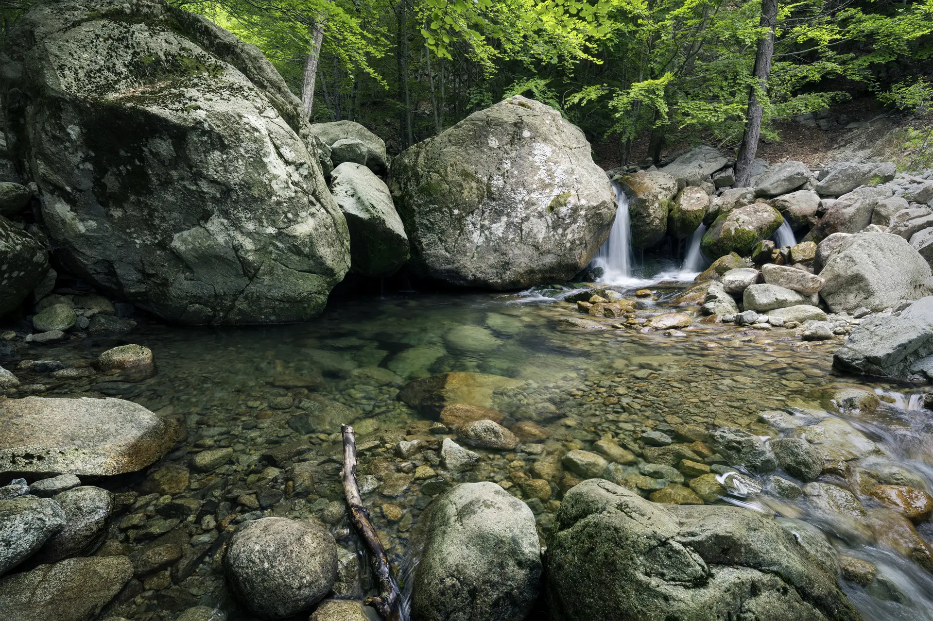 Foto : Marius Müller - Wunderschöne Wald- und Flussszenen gehören auch zu Korsika | © Marius Müller