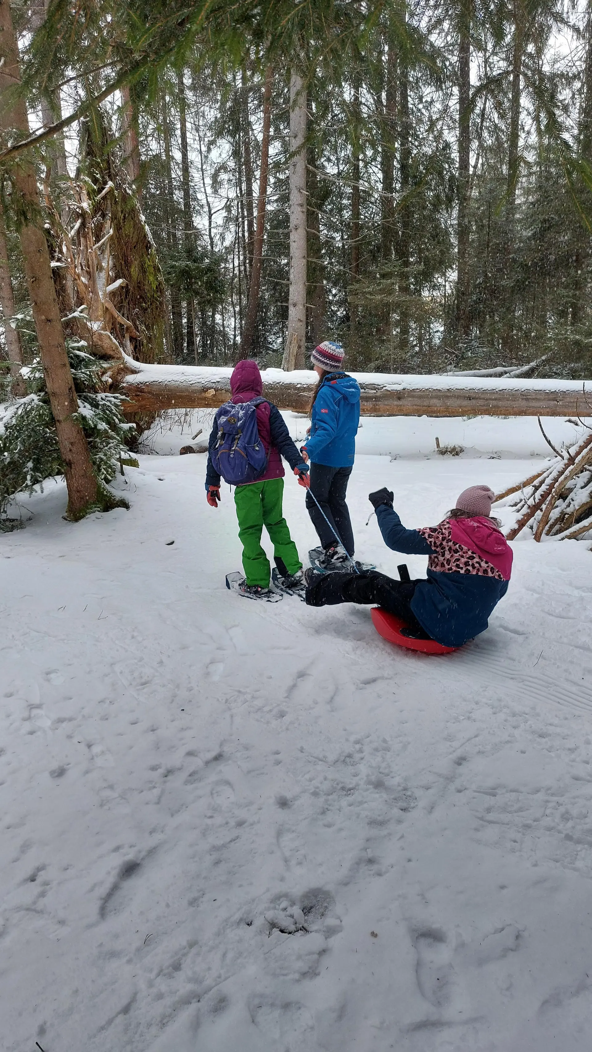 © (Natur-)Kunstwerk im Schnee / Foto: Josephine Kerzel